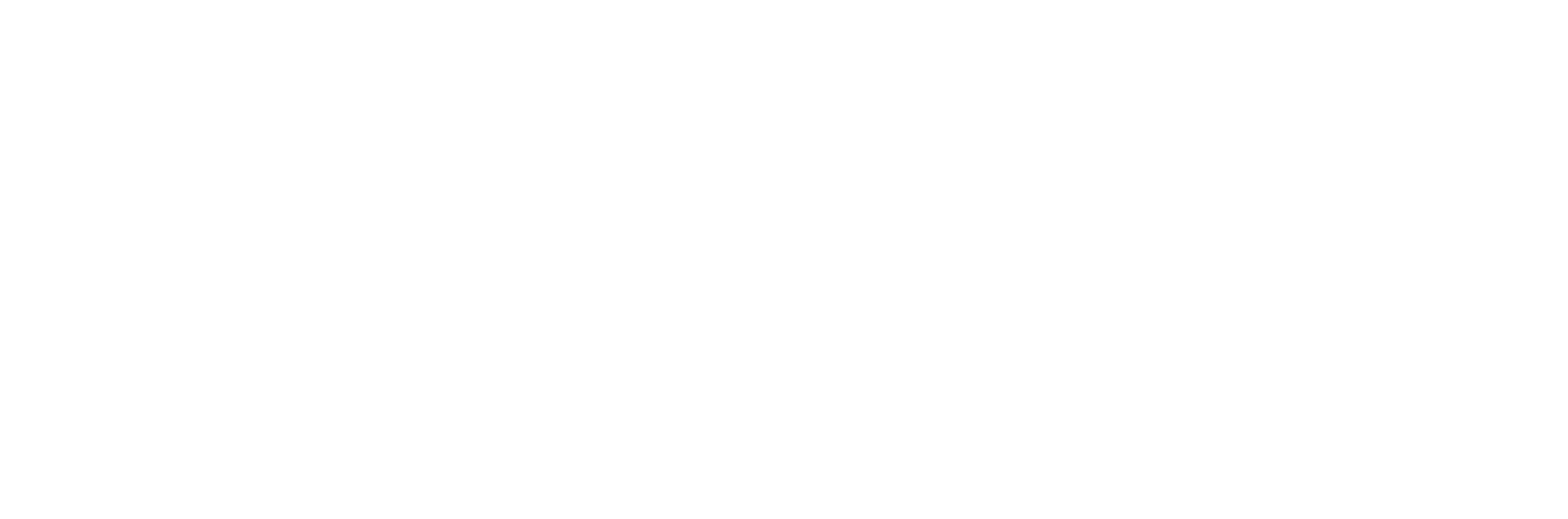 ASV Logo